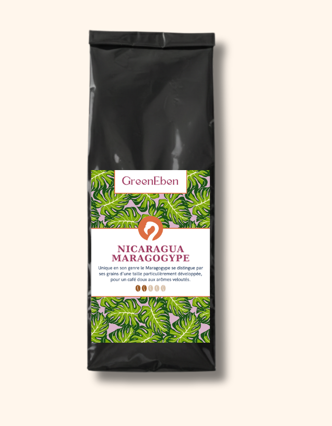 Café du Nicaragua - Maragogype